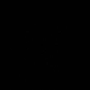 Meet your Posher, Logan